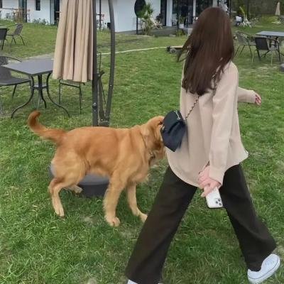 大话女儿国